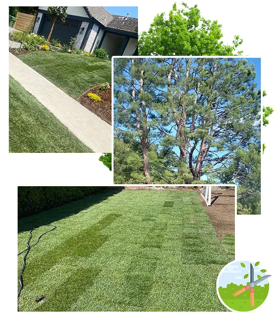 Landscaping Services 